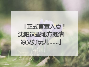 正式官宣入夏！沈阳这些地方既清凉又好玩儿……