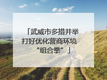 武威市多措并举打好优化营商环境“组合拳”