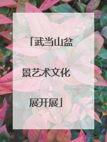 武当山盆景艺术文化展开展