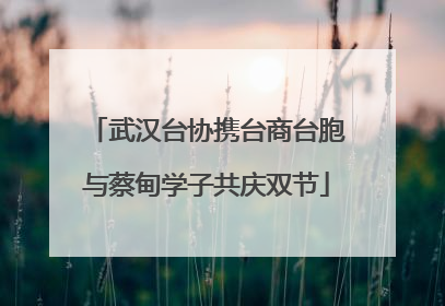 武汉台协携台商台胞与蔡甸学子共庆双节