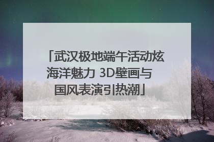 武汉极地端午活动炫海洋魅力 3D壁画与国风表演引热潮