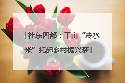 桂东四都：千亩“冷水米”托起乡村振兴梦