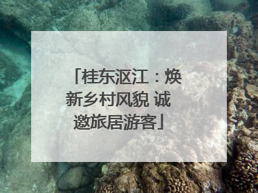 桂东沤江：焕新乡村风貌 诚邀旅居游客