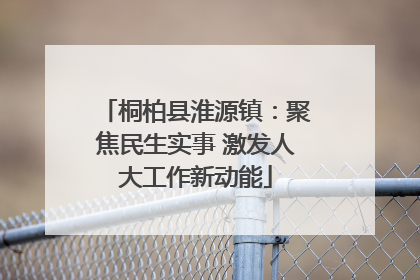 桐柏县淮源镇：聚焦民生实事 激发人大工作新动能