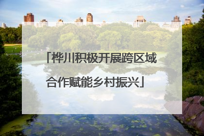 桦川积极开展跨区域合作赋能乡村振兴