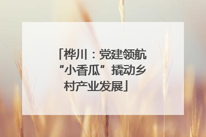 桦川：党建领航“小香瓜”撬动乡村产业发展