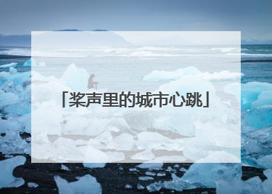 桨声里的城市心跳