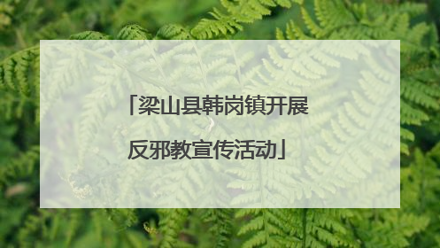 梁山县韩岗镇开展反邪教宣传活动