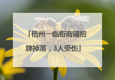 梧州一临街商铺招牌掉落，3人受伤