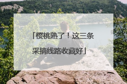 樱桃熟了！这三条采摘线路收藏好