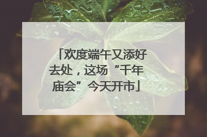 欢度端午又添好去处，这场“千年庙会”今天开市