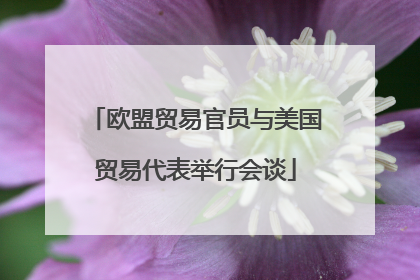 欧盟贸易官员与美国贸易代表举行会谈