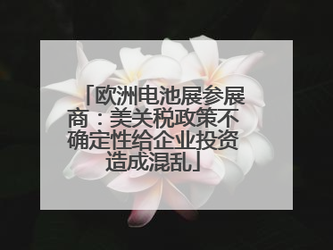 欧洲电池展参展商：美关税政策不确定性给企业投资造成混乱