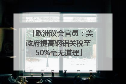 欧洲议会官员：美政府提高钢铝关税至50%毫无道理