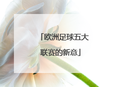 欧洲足球五大联赛的新意