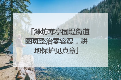 潍坊寒亭固堤街道图斑整治零容忍，耕地保护见真章