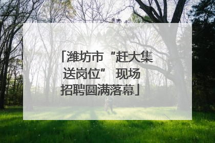 潍坊市“赶大集 送岗位” 现场招聘圆满落幕