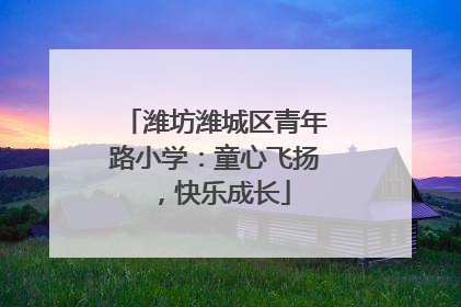潍坊潍城区青年路小学：童心飞扬，快乐成长