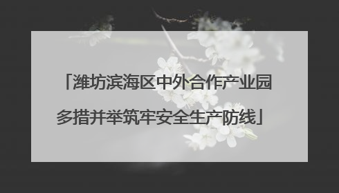 潍坊滨海区中外合作产业园多措并举筑牢安全生产防线