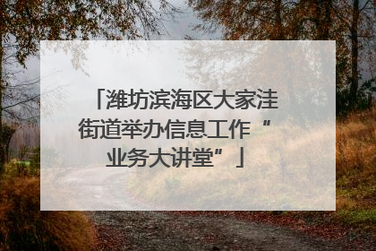 潍坊滨海区大家洼街道举办信息工作“业务大讲堂”