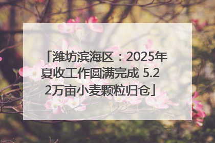 潍坊滨海区：2025年夏收工作圆满完成 5.22万亩小麦颗粒归仓