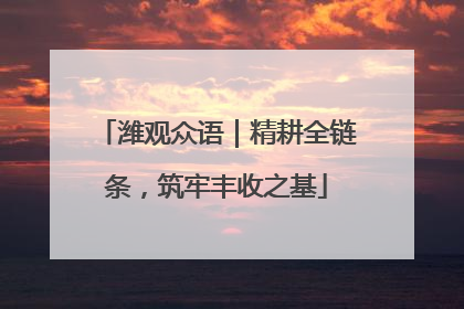 潍观众语｜精耕全链条，筑牢丰收之基