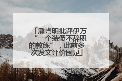 潘粤明批评伊万“一个装傻不辞职的教练”，此前多次发文评价国足