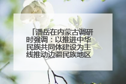 潘岳在内蒙古调研时强调：以推进中华民族共同体建设为主线推动边疆民族地区高质量发展