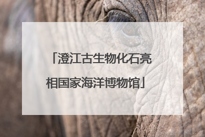 澄江古生物化石亮相国家海洋博物馆