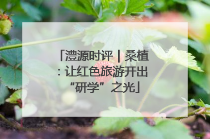 澧源时评｜桑植：让红色旅游开出“研学”之光