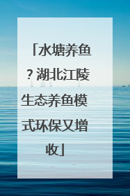 水塘养鱼？湖北江陵生态养鱼模式环保又增收