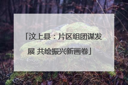 汶上县：片区组团谋发展 共绘振兴新画卷