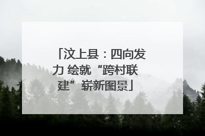 汶上县：四向发力 绘就“跨村联建”崭新图景