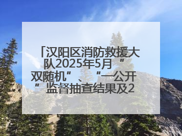 汉阳区消防救援大队2025年5月“双随机”、“一公开”监督抽查结果及2025年6月监督抽查任务公示