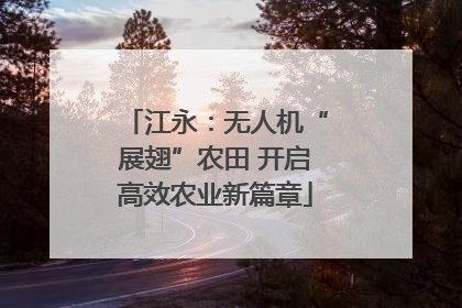 江永：无人机“展翅”农田 开启高效农业新篇章