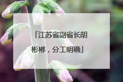 江苏省副省长胡彬郴，分工明确