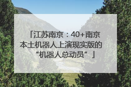 江苏南京：40+南京本土机器人上演现实版的“机器人总动员”