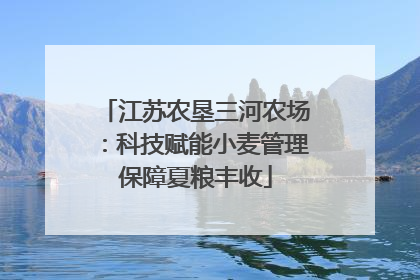 江苏农垦三河农场：科技赋能小麦管理保障夏粮丰收
