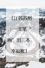 江苏苏州：一支笔“画”出三本幸福账