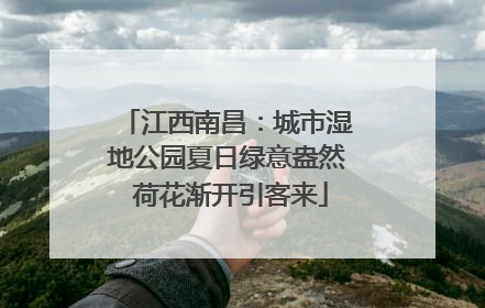 江西南昌：城市湿地公园夏日绿意盎然 荷花渐开引客来