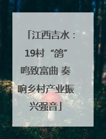 江西吉水：19村“鸽”鸣致富曲 奏响乡村产业振兴强音