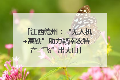 江西赣州：“无人机+高铁”助力赣南农特产“飞”出大山