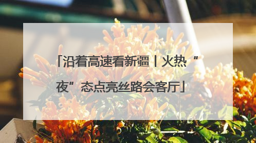 沿着高速看新疆丨火热“夜”态点亮丝路会客厅