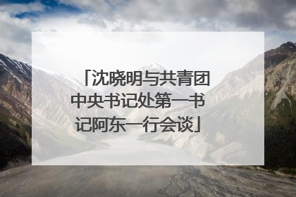 沈晓明与共青团中央书记处第一书记阿东一行会谈