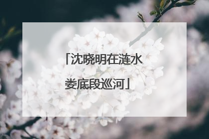 沈晓明在涟水娄底段巡河