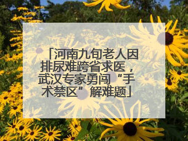 河南九旬老人因排尿难跨省求医，武汉专家勇闯“手术禁区”解难题