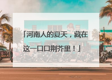 河南人的夏天，藏在这一口口荆芥里！