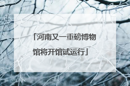 河南又一重磅博物馆将开馆试运行