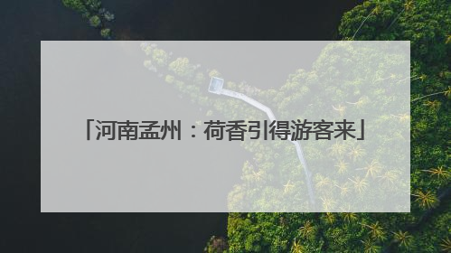 河南孟州：荷香引得游客来