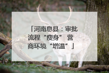 河南息县：审批流程“瘦身” 营商环境“增温”